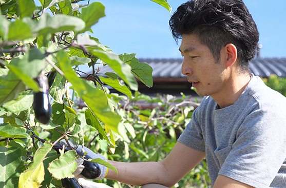 野菜